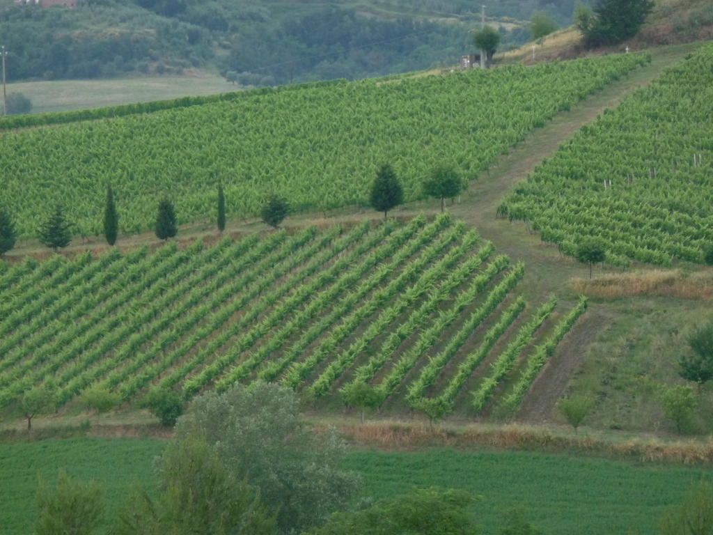 Azienda Agricola Ed Agrituristica Cafaggio San Miniato Exterior photo